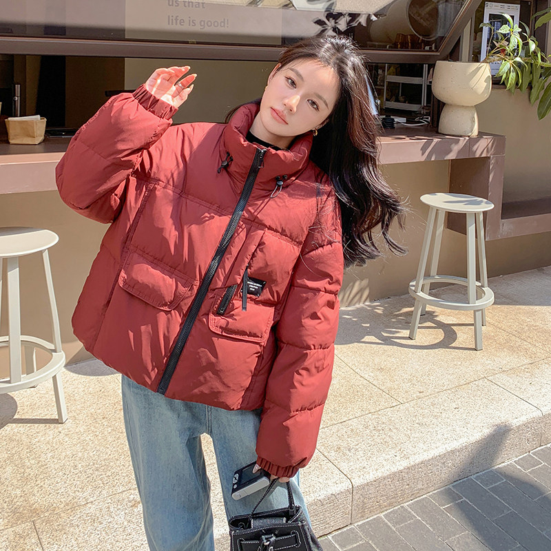 韩版保暖时尚立领白鸭绒外套女2025年冬季新款显瘦短款加厚羽绒服,女装羽绒服,2C087