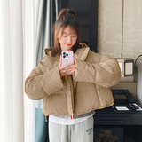 卡其色