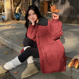 圣诞红