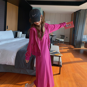 韩版减龄背心裙开衫套装女2025春秋季新款慵懒风显瘦连衣裙两件套图片