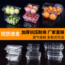 Disposable fruit packing box Strawberry box transparent plastic covered fruit cutting box fruit and vegetable food preservation box