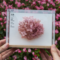 Gegewu Flower World Japan imported red pink blue hydrangea immortal flower flower friends creative holiday gift