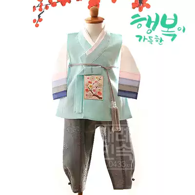 Children's Hanbok Boys Dance Performance Clothes North Korean Dance Costume Korean Court Traditional Boys Hanbok E01330