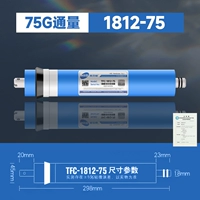 [Гарантия подлинности] Веллингтон 1812-75G