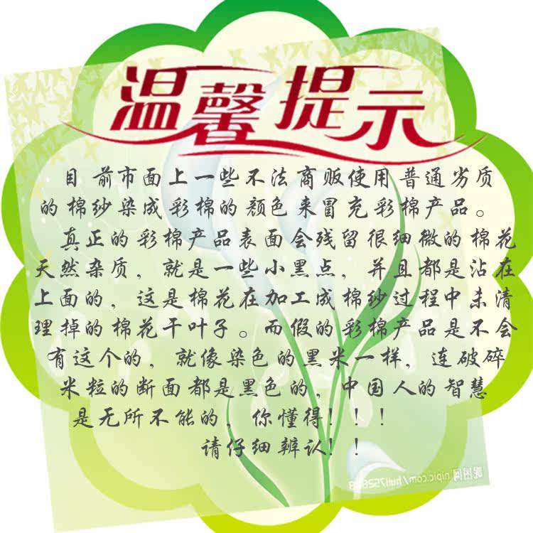 Slip jeunesse simple en coton - Ref 644836 Image 22