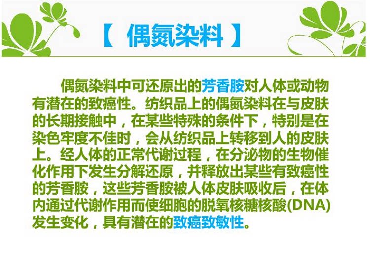 Slip jeunesse simple en coton - Ref 644836 Image 19