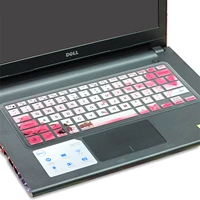 Полу -транспланат роза