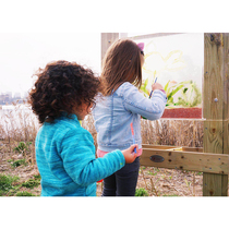 Hydroponic soil culture animal breeding observation table can come to the childrens outdoor courtyard natural animal and plant growth process