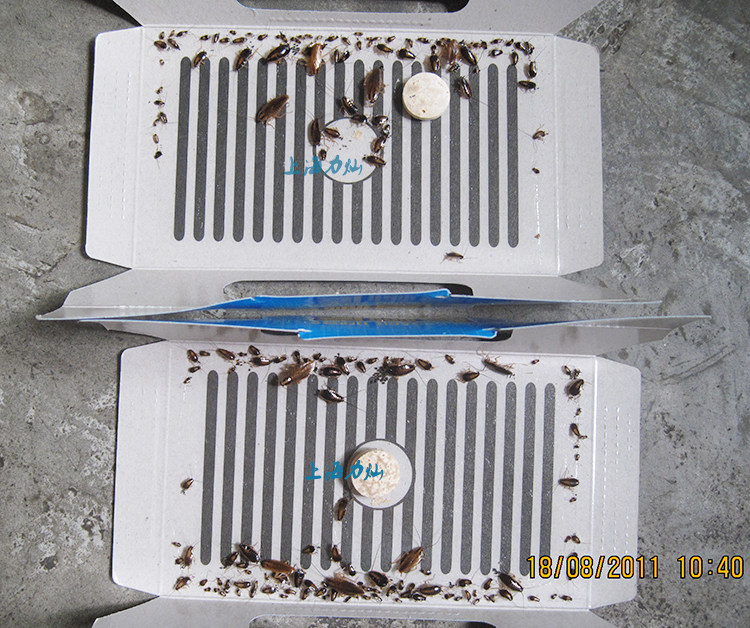 Эффект дома таракана Рисунок 2.JPG