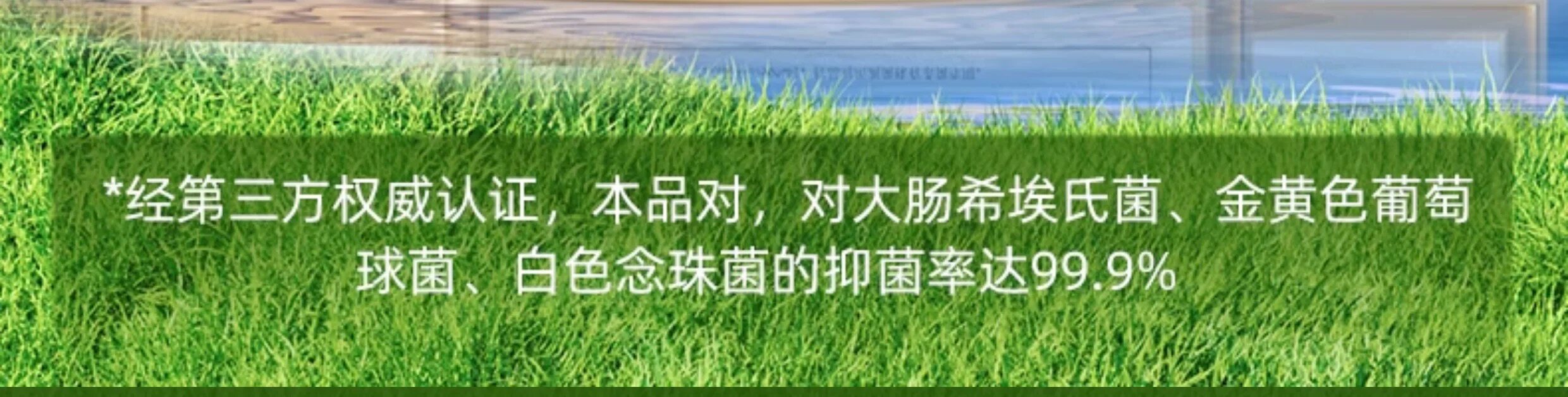 товар из китая 宜家鞋袜除臭喷雾杀菌除菌长效除异味鞋内鞋柜去味剂持久清新 E/home