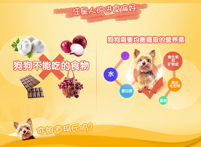 Baolu chó nhỏ và vừa cho chó trưởng thành đa năng thức ăn cho chó 1,8kg gan bò rau thú cưng Teddy thức ăn cho chó VIP - Chó Staples thức ăn hạt cho chó
