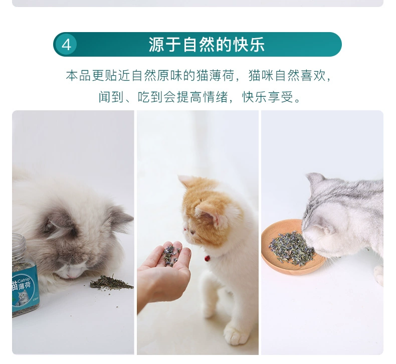 Đồ ăn nhẹ cho mèo, Pro Kiss, Catnip, 230ml, Catnip, Cat Grass, Hairball, Hairball, Cat Snacks - Đồ ăn nhẹ cho mèo