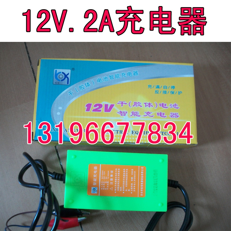 Ushin Electric Bottle Car Battery Charger Motorcycle Smart Battery Charger 12V 2A Charger-Taobao