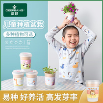 Children planting small potted plants Mini flower farmers Kindergarten Growth Watch suit Self-seed Cup Box sunflower plants