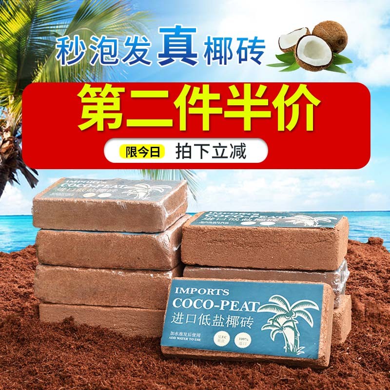 Coconut Brick Organic Nutritional Soil General Coconut Bran Powder Orchid Coconut Soil