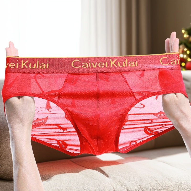 Summer Thin Festive Red Briefs for Men, Sexy Breathable Mesh Mid-Waist Underwear for the Year of Their Zodiac Sign, Gift for Boyfriend