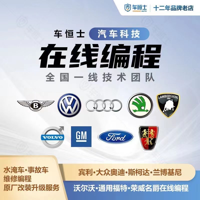 Mercedes-Benz BMW Forth Audi Skoda Land Rover online programming brush hidden coding to unlock ABS account