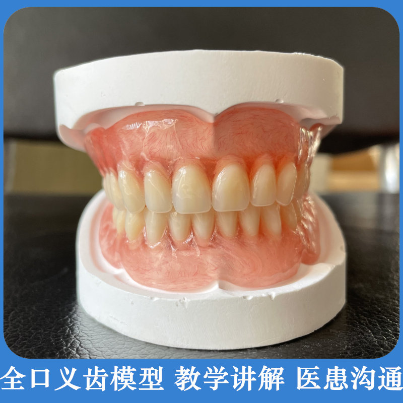 牙科口腔教学 全口活动假牙模型 隐形义齿模型 医患沟通 可定制