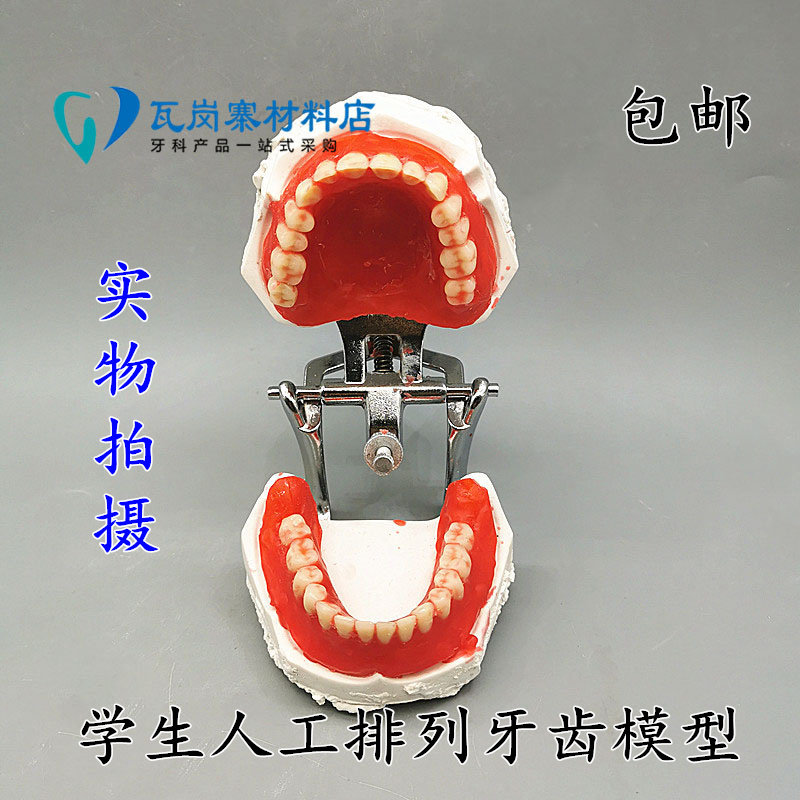 牙科材料 义齿排列工具套装 颌架 全口石膏牙模人工排牙模型 包邮