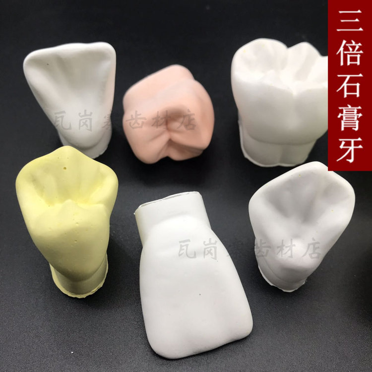 牙科 口腔学生雕牙指导模型 3倍石膏牙齿模型  可定制牙位 包邮