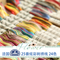 French DMC five-color colorful thread embroidery three-dimensional embroidery gradient embroidery thread single price 24 colors