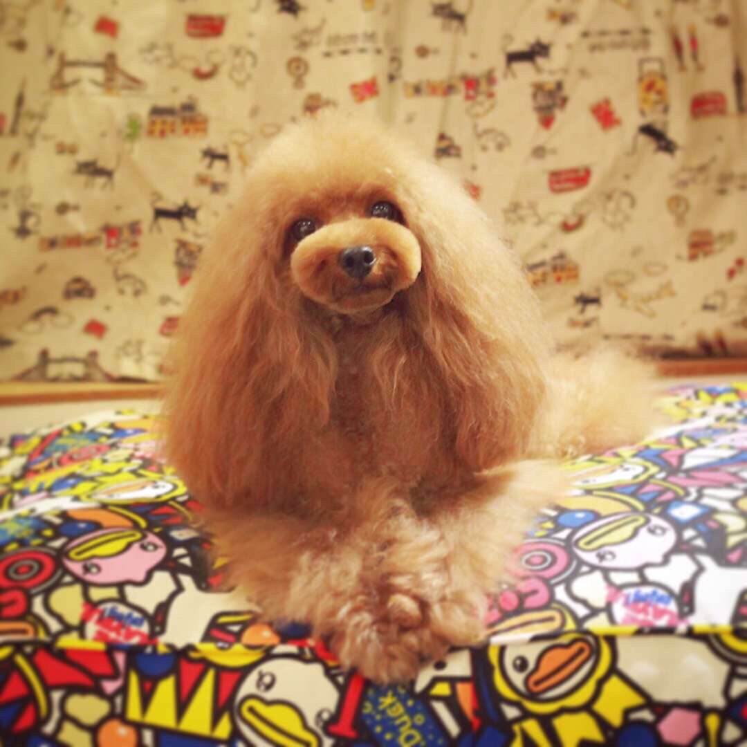 Postage supplement link