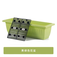 Фруктовый зеленый цветок