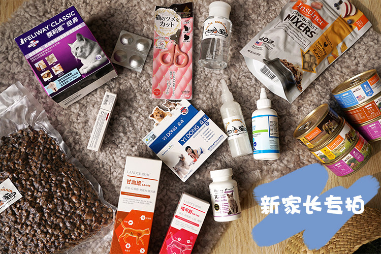 Flesh-faced cat new parents special shooting hyperlink daily BI equipment set