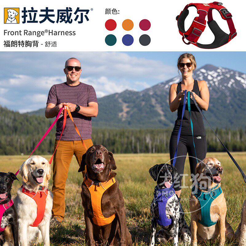 Hall class America Rav Wilfoldt Chaidog pooch Chest Back Traction Rope Outdoor Walking Dog Leash