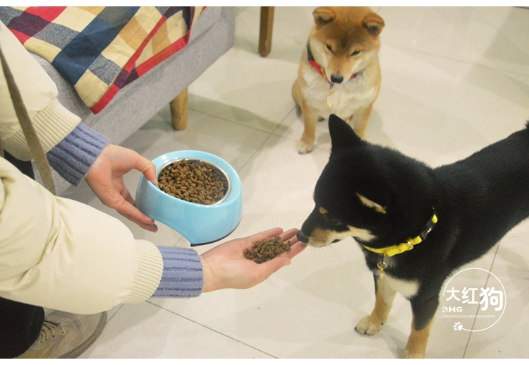 Canada bây giờ thử thức ăn cho chó ăn bốn lá tuổi giáo sĩ chó nhỏ phổ quát thức ăn cho chó 500g kinh nghiệm - Gói Singular