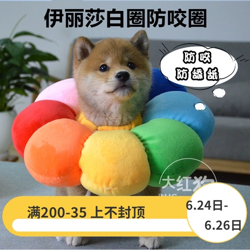 Симпатичный солнечный цветок питомец, Элизабет, ошейник для собак, крышка шеи, противозачаточное кольцо головы домашнего животного стыд мягкий круг