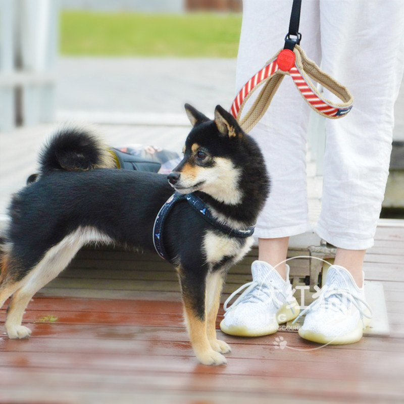 South Korea Puppy Gallery Dog Chest Backyard Dog Out Walking Dog No-Neck Anti-Neck Explosion-Proof Hauling Rope Adjustable