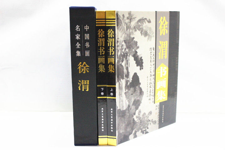 商城正版 中国现代名家画集 徐渭书画集 彩图铜版纸精装16开2卷 原价380元 折扣中