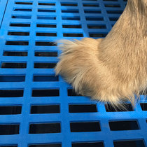 Dog cage foot plate cat cage plastic pad heat sink plate can be spliced pad thick pet pad dog pad
