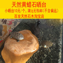 Natural yellow wax stone drying table stone tortoise drying table fish tank landscaping yellow throat hair color turtle seedlings sun back to avoid longan leaves