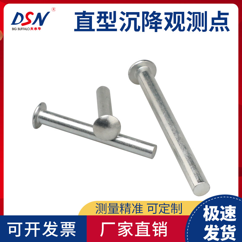 Large Buffalo Straight Settlement Observation Point Galvanized Level Point Mark Measuring Nail Pre-Embedded for Monitoring Settlement Observation Nails