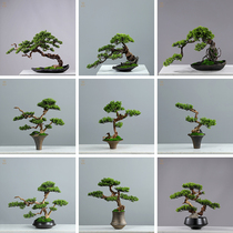 Chinese Zen style Thuja cypress moss simulated tree ceramic flower ware study entrance tabletop interior decoration bonsai model room