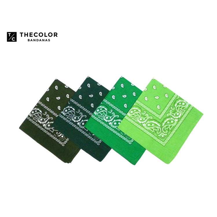 Thecolor Bandana Forest-Style Hiking Scarf Motorcycle Scarf Hip-Hop Headscarf Paisley Olive Green Square Scarf