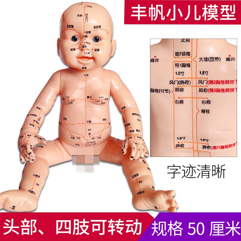 婴儿人体模型儿童娃娃人体模型针灸按摩带穴位月嫂培训教学幼儿