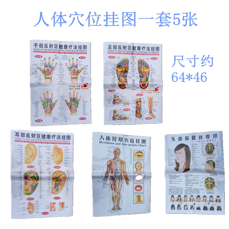 Human body acupuncture high-definition head ear foot foot foot full body hand health massage push