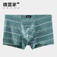 Kadoff Men Boxer Quần Thanh niên Phim hoạt hình Neo Quần lót sọc Quần nam Eo Modal Quần short Đầu quần lot nữ