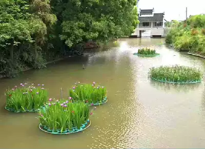 Artificial ecological floating platform Aquatic plant floating bed Engineering Greening wetland River park landscaping Mobile pontoon