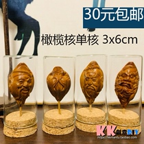 Olive core Single seed core carved glass bottle mini small wooden plug transparent sealed cylindrical text play insect dust cover