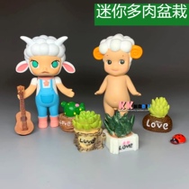 Micro landscape potted zakka blind box molly doll mini meaty ornaments Photo decoration DIY material accessories