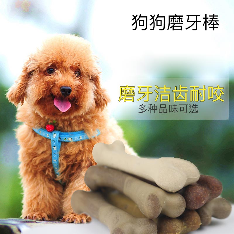 Dog Grinding Tooth Stick Dog Bone 9 6cm Teddy Bibi Bear Grinding Tooth and Teeth Dog Snack Bone