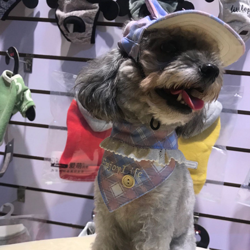 Love Meng's Darling Dog Cat Neck Ring With Traction Rope Small And Medium Dog Cat Neck Collar Items Ring Pet Accessories Accessories