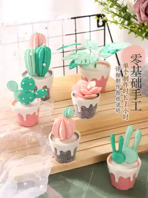 DIY relieve boredom Handmade diy succulents flower pot planting table decoration DIY production of non-woven material package gifts