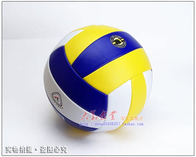 Ballon de volley - Ref 2013038 Image 6
