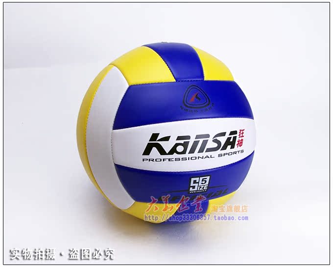 Ballon de volley - Ref 2013038 Image 5