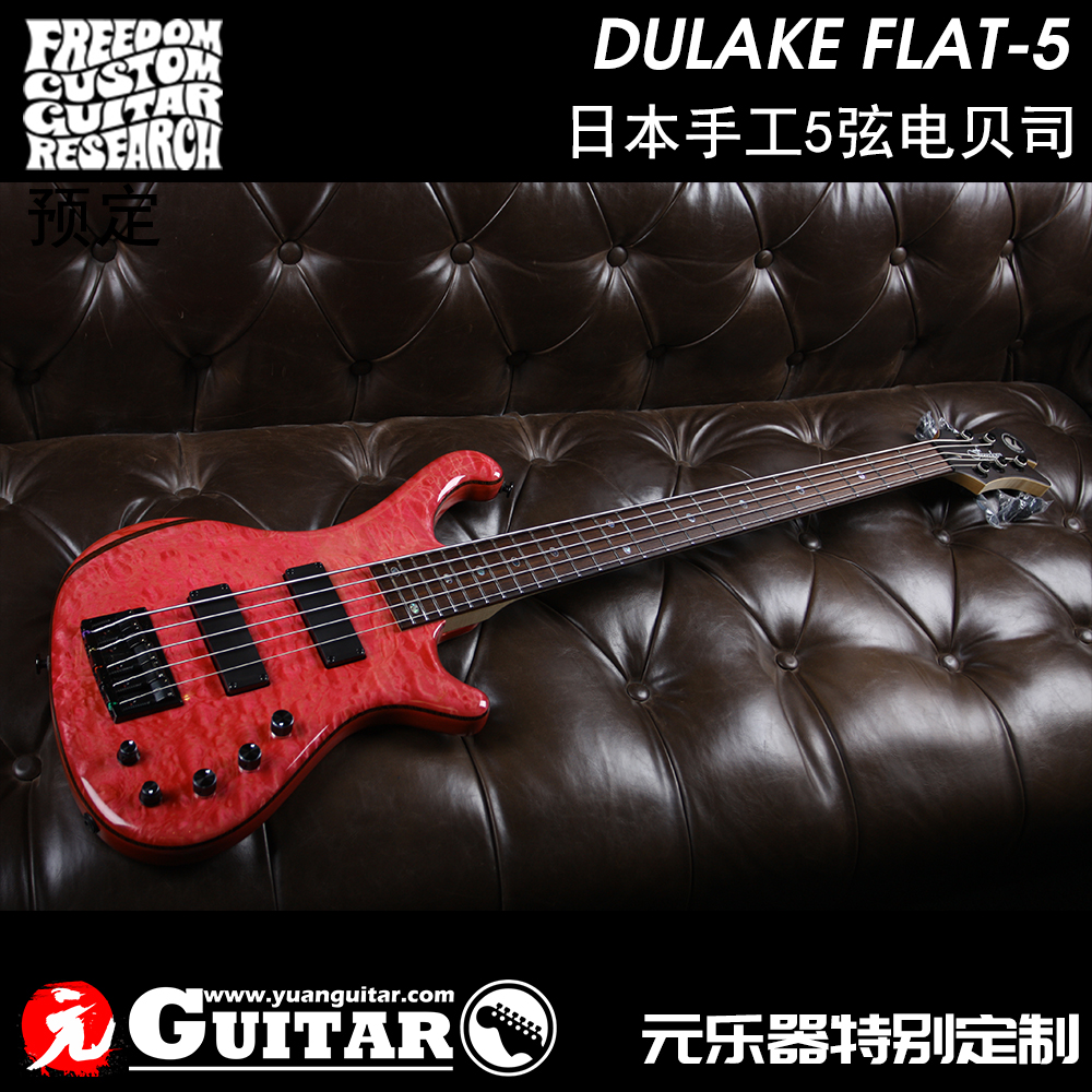 Freedom DULAKE FLAT-5 Japan handmade custom 5 string electric bass